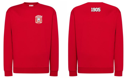 Bluza dresowa Resovia Rzeszów 1905