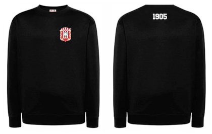 Bluza dresowa Resovia Rzeszów 1905