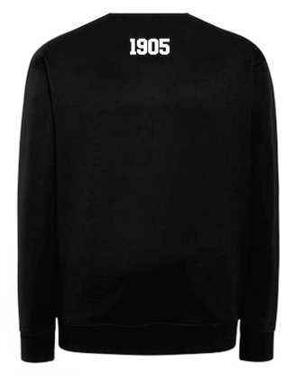 Bluza dresowa Resovia Rzeszów 1905