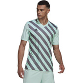 Miętowo-grafitowa koszulka adidas Entrada 22 Graphic Jersey HF0119
