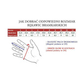 Rękawice bramkarskie Uhlsport Eliminator Starter Soft 100054601