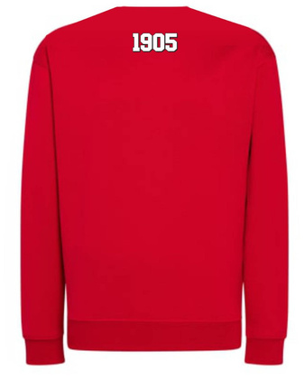 Bluza dresowa Resovia Rzeszów 1905