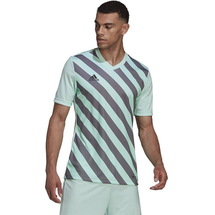 Miętowo-grafitowa koszulka adidas Entrada 22 Graphic Jersey HF0119