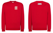 Bluza dresowa Resovia Rzeszów 1905