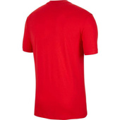 Biało-czerwona koszulka Nike Poland Tee Evergreen Crest CU9191 611