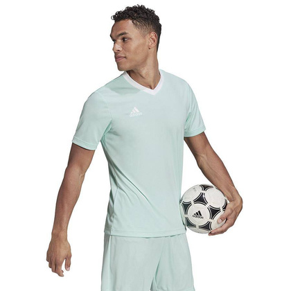 Miętowa koszulka Adidas Entrada 22 HC5073