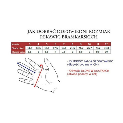 Rękawice bramkarskie Uhlsport Eliminator Starter Soft 100054601