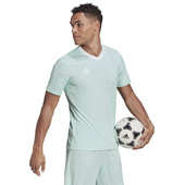 Miętowa koszulka Adidas Entrada 22 HC5073