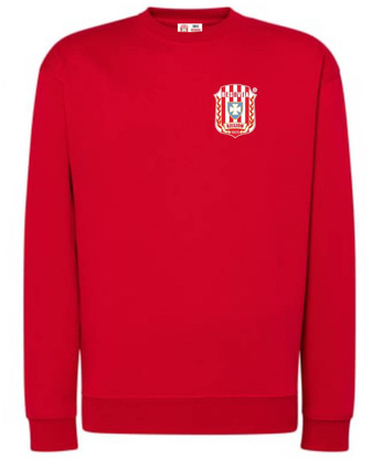 Bluza dresowa Resovia Rzeszów 1905