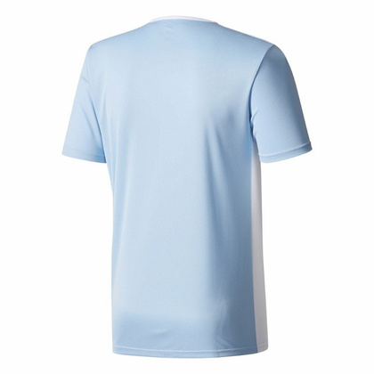 Błękitna koszulka Adidas Entrada 18 CD8414