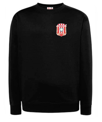 Bluza dresowa Resovia Rzeszów 1905
