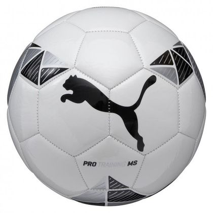 PIŁKA NOŻNA PUMA PRO TRAINING MS 082432 01 r5