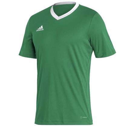 Zielona koszulka Adidas Entrada 22 HI2123